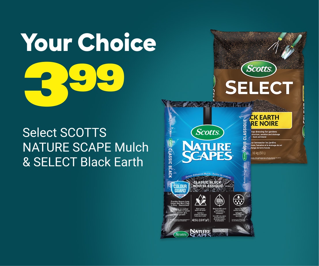 Scotts Nature Scapes Mulch and Select Black Earth